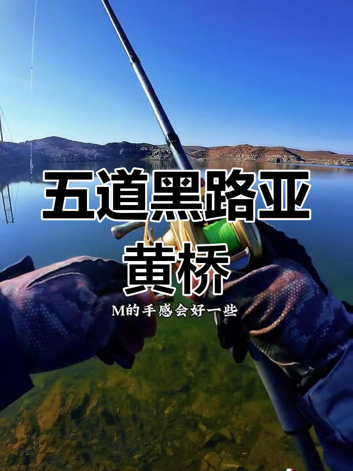 黄桥赛吾迭格尔大桥:五道黑鱼群聚集地
