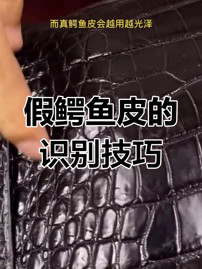 如何辨别真假鳄鱼皮?