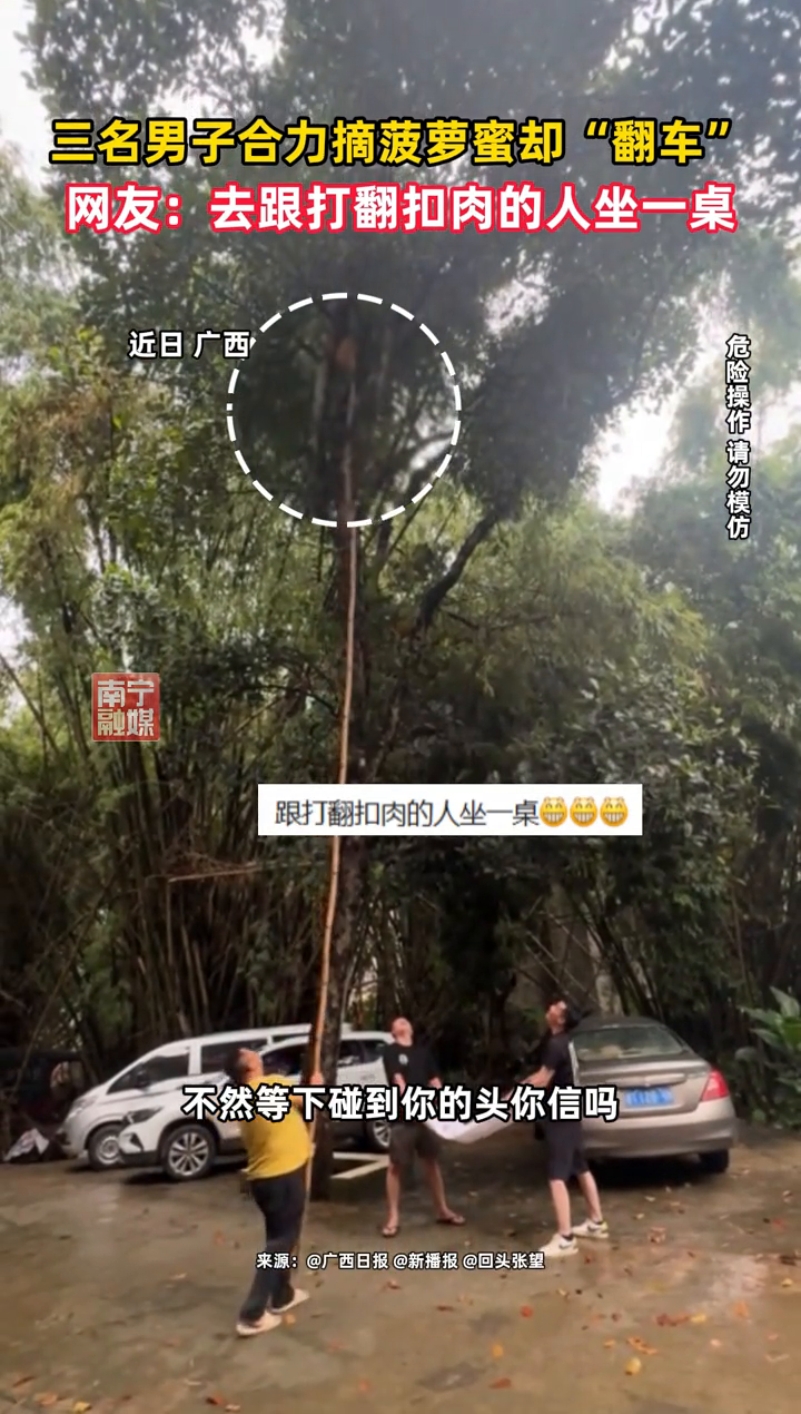 三名男子站在树下配合摘菠萝蜜,结果让人意想不到……