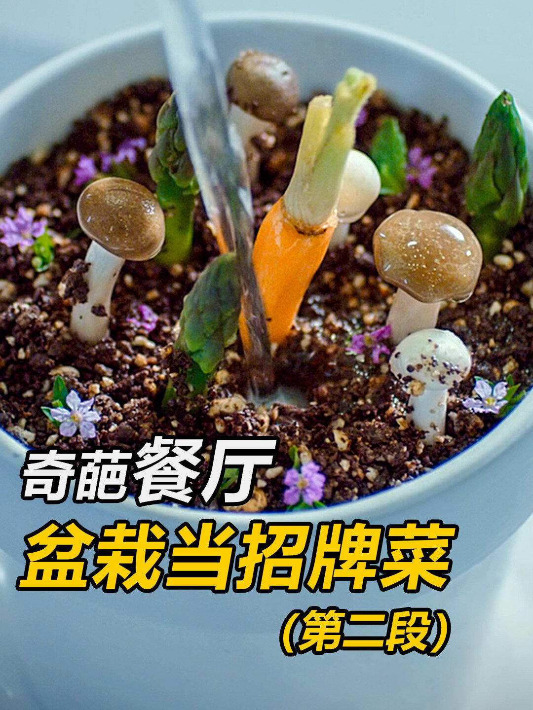 中餐真的比不上西餐?