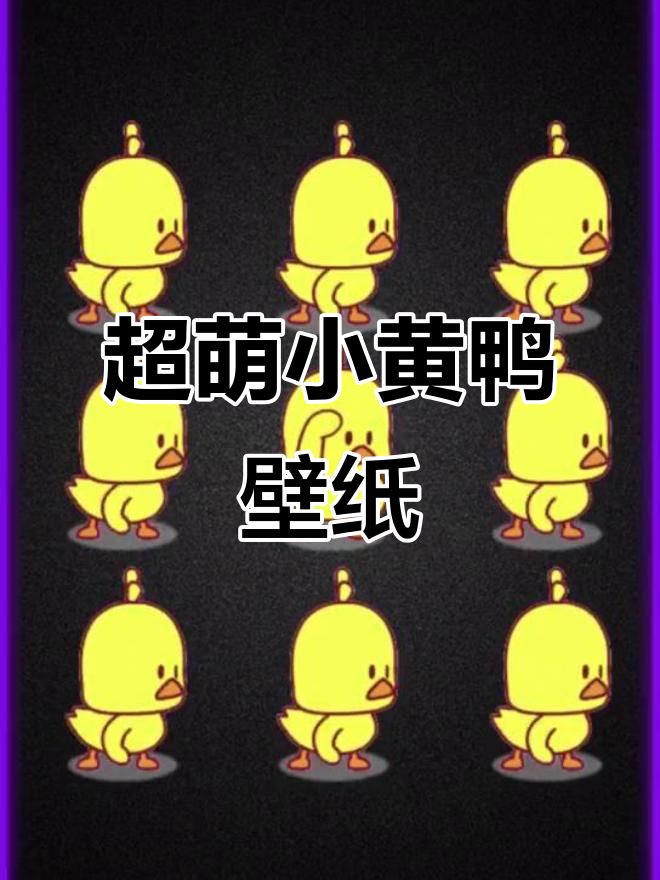 小黄鸭动态壁纸，快来一起萌翻天！