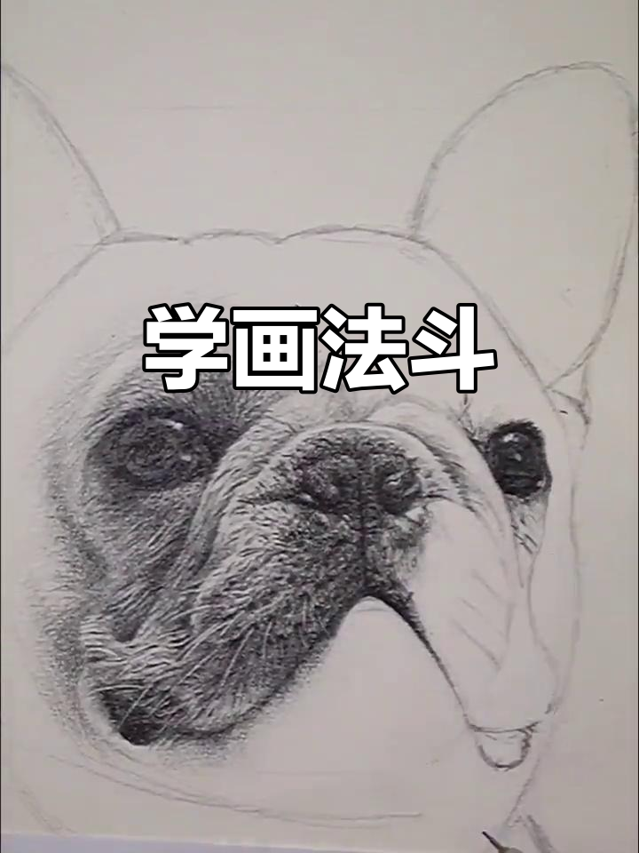素描法斗步骤大揭秘,轻松画出可爱小狗狗