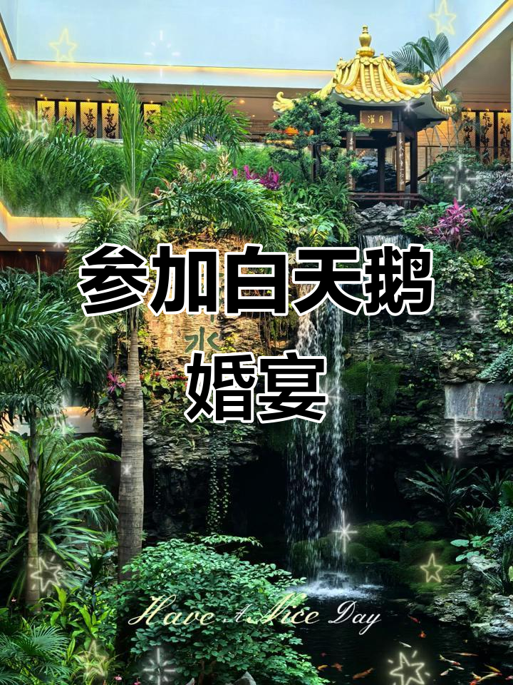白天鹅宾馆婚宴体验,兴趣爱好太多让我有点不知所措