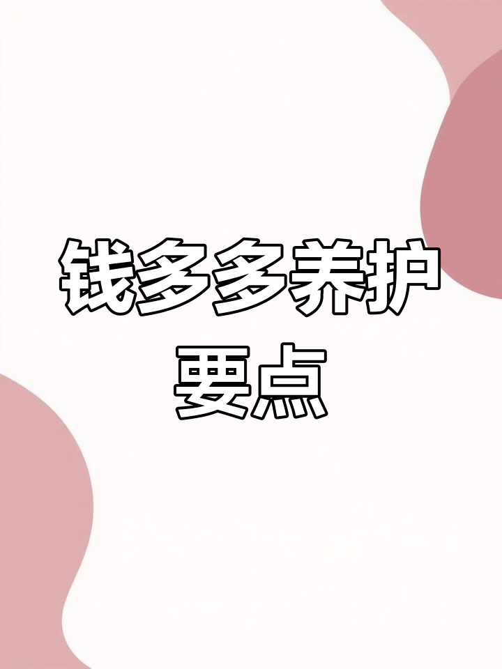 钱多多多肉植物养护技巧:光照与浇水注意事项