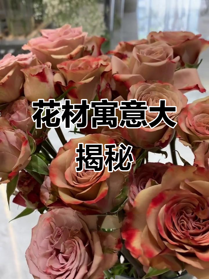 了解卡布奇诺玫瑰、巧克力泡泡等花材的寓意与送礼对象