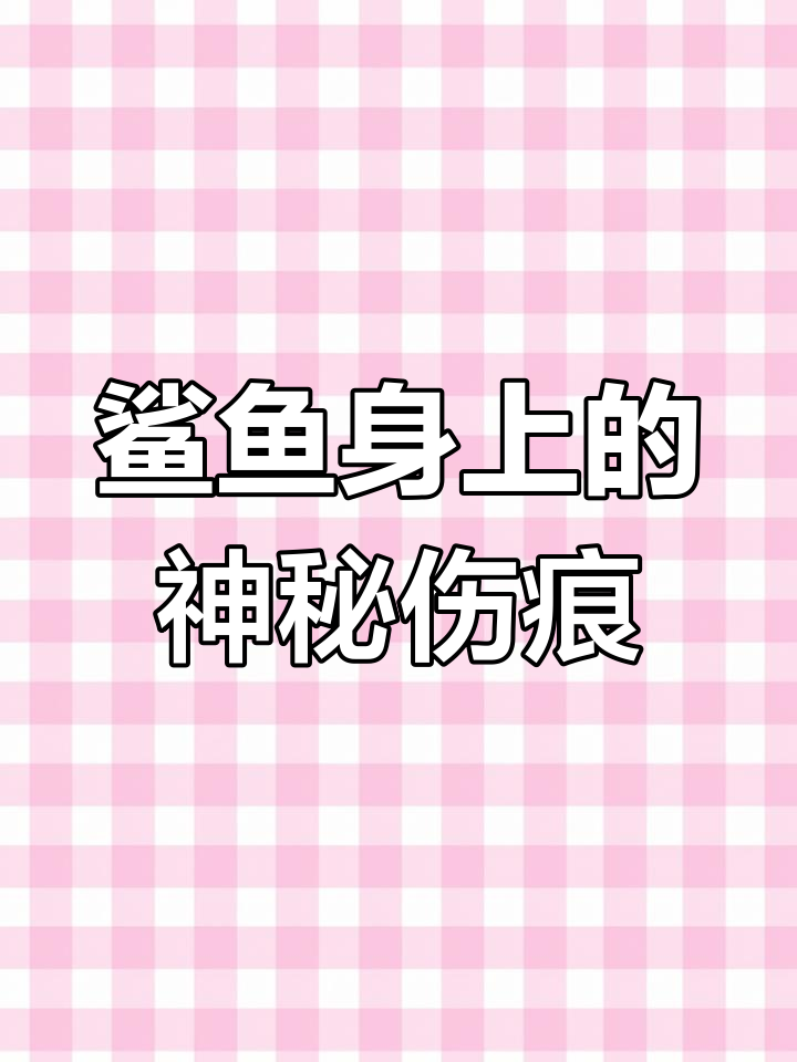 摄影师拍到鲨鱼身上惊人咬痕
