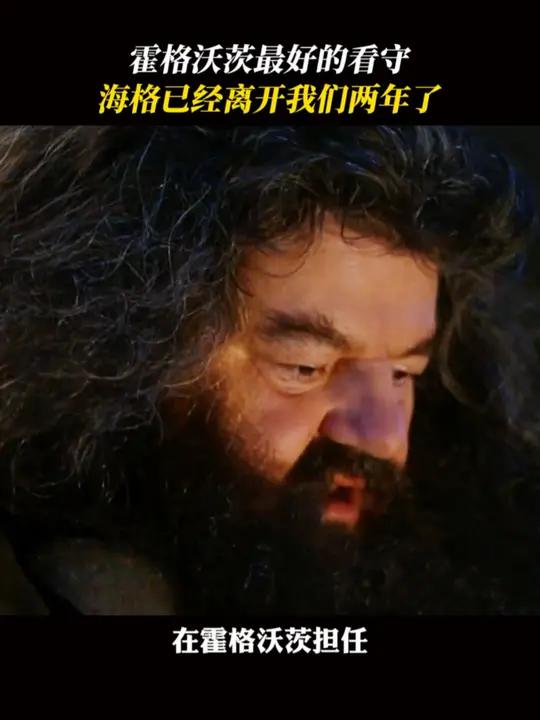 海格一定是去了“魔法世界” 哈利波特 海格 魔法世界 青春 遗憾