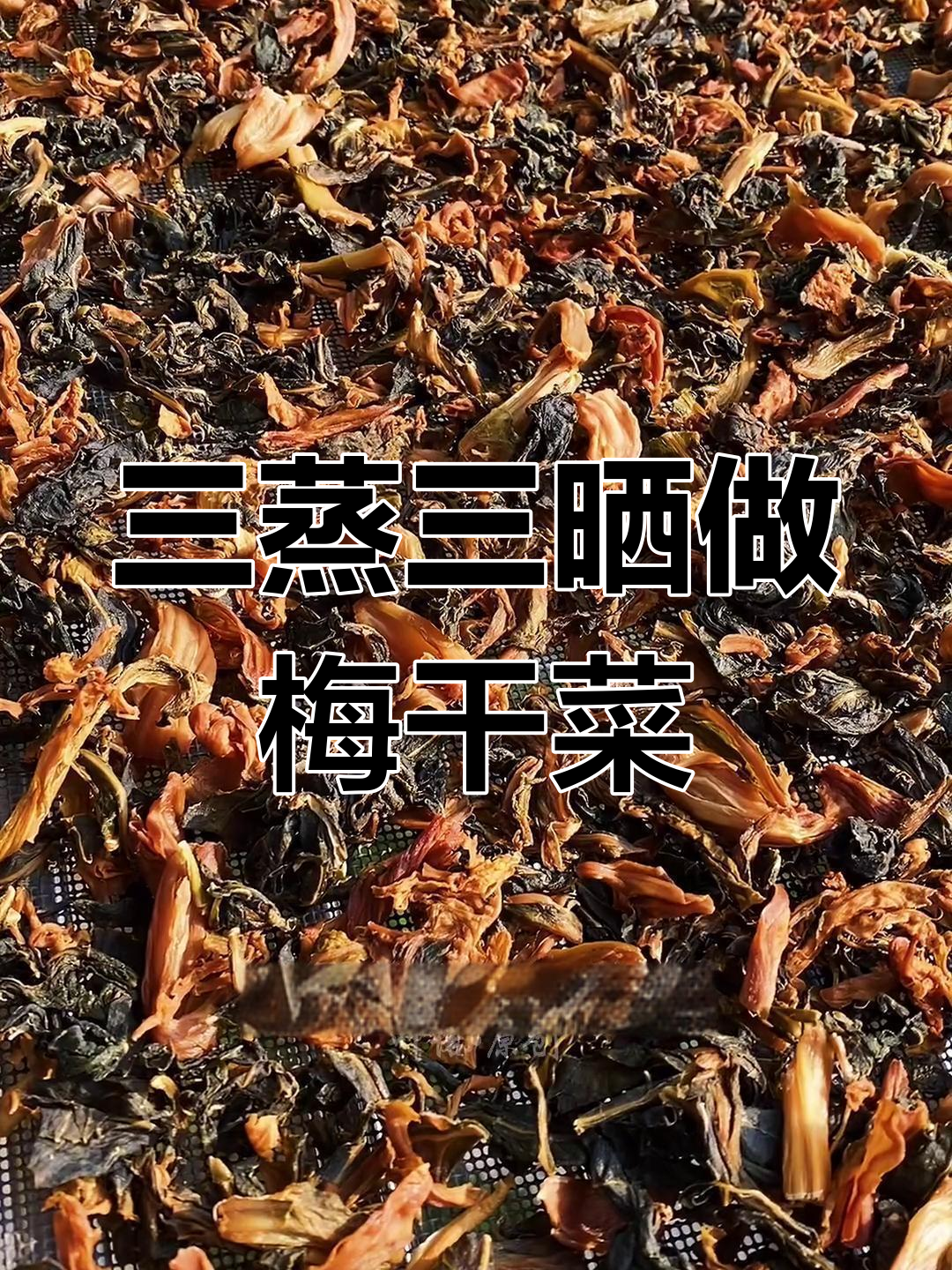 春天梅干菜的做法,三蒸三晒变美味