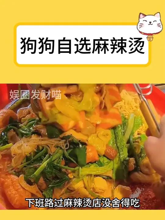 狗狗自选麻辣烫