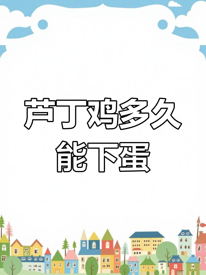 芦丁鸡产蛋时间揭秘,如何促进下蛋