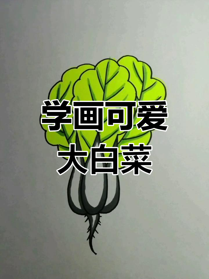 轻松学画大白菜,步骤简单又有趣