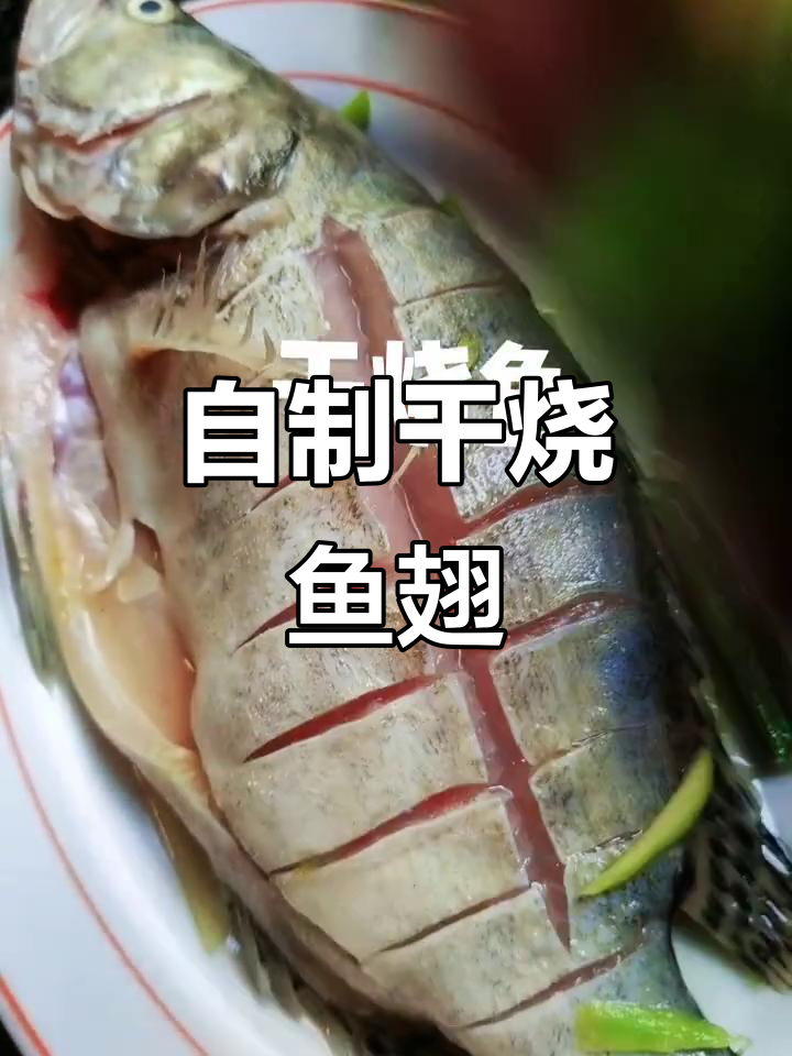 干烧鱼翅配姜葱,家常美味轻松做