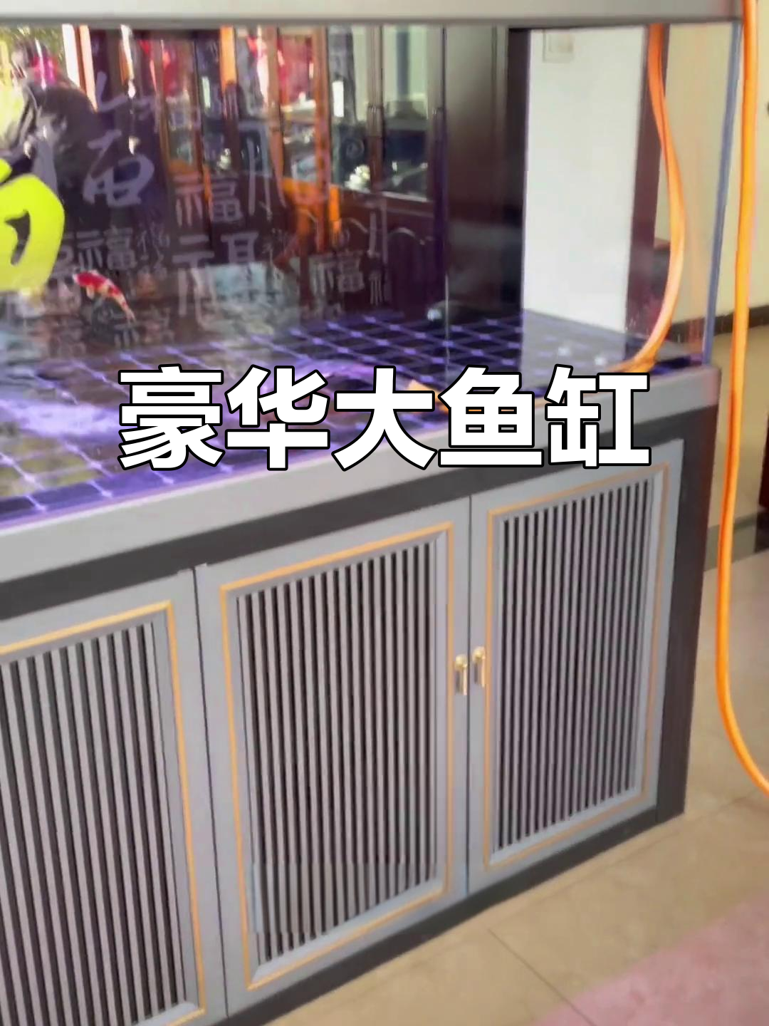 豪华2.7米鱼缸，客厅必备，龙鱼定制尽显奢华
