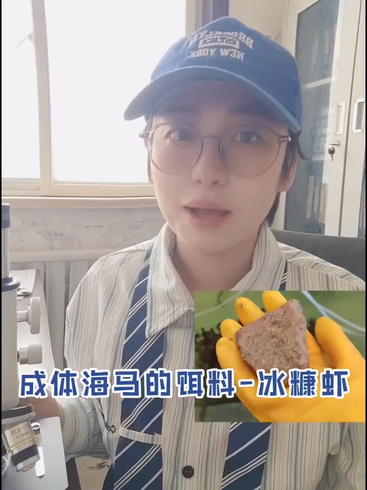 饵料揭秘|海马幼体是吃什么长大的?