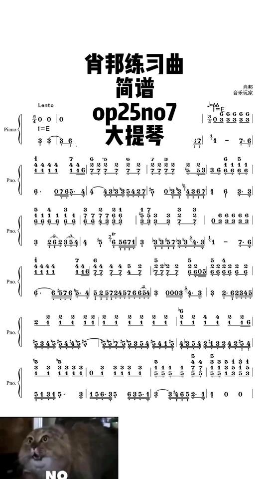 肖邦练习曲简谱大提琴op25no7