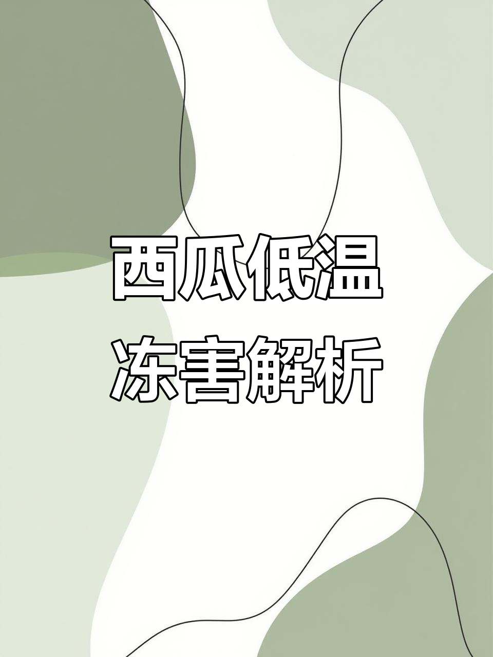 西瓜受冻后的症状与应对方法