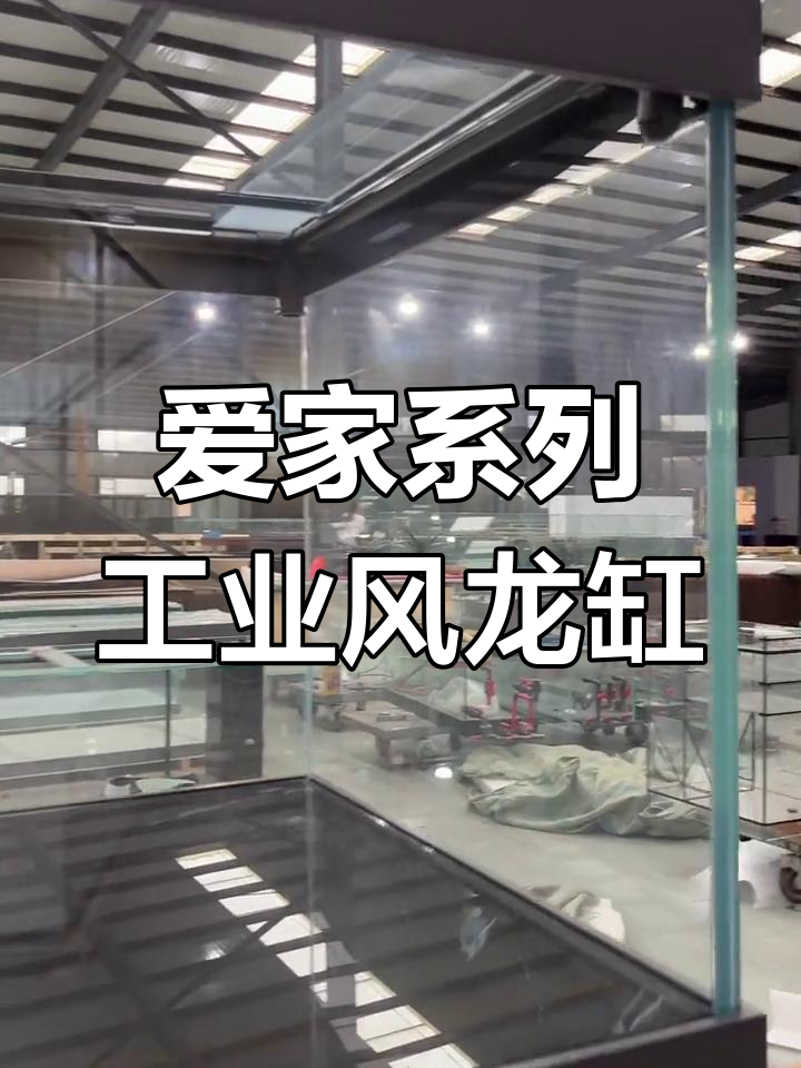 工业风龙鱼缸,超白玻璃与底滤系统完美结合