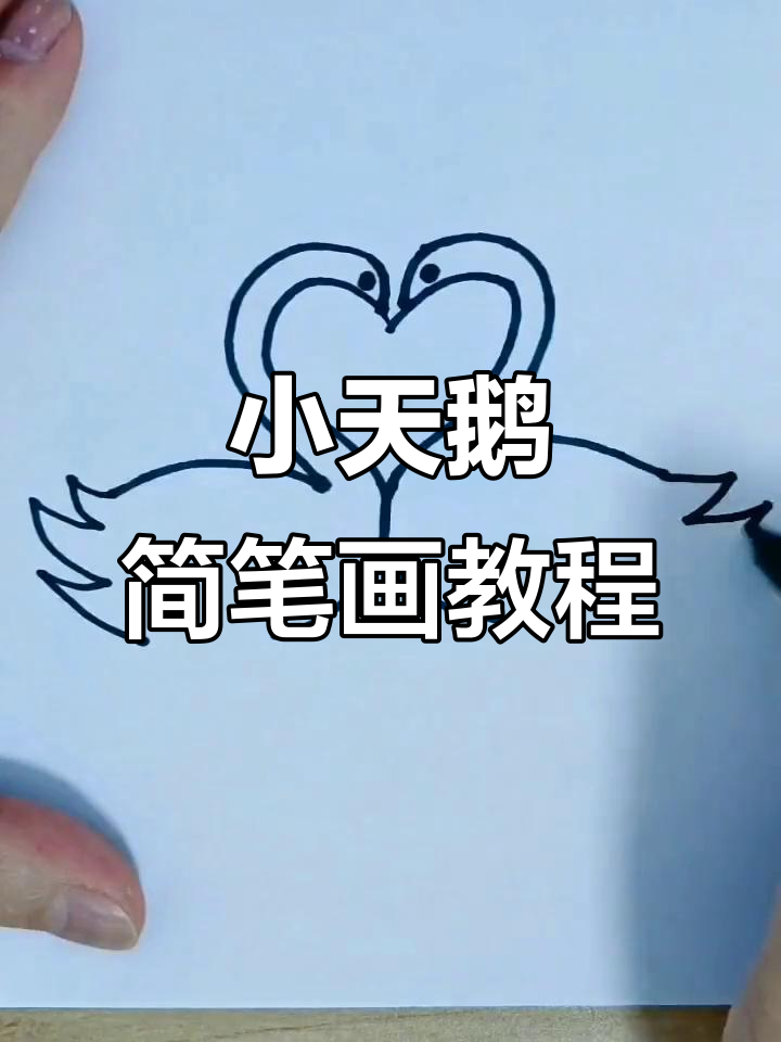 零基础学画小天鹅，简单步骤教你轻松搞定