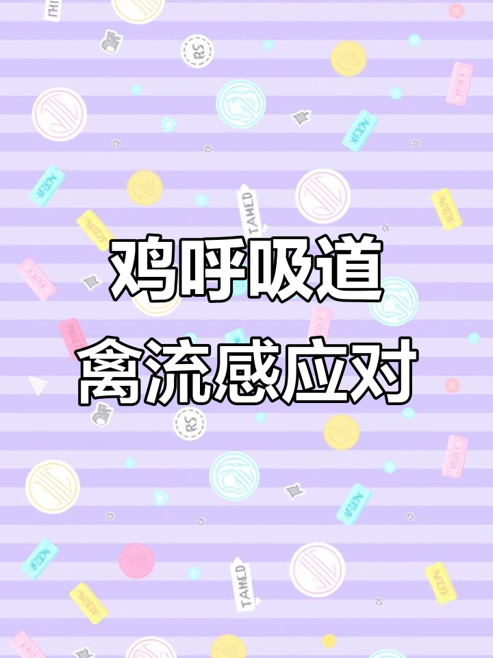 禽流感症状与防治技巧,养殖必看