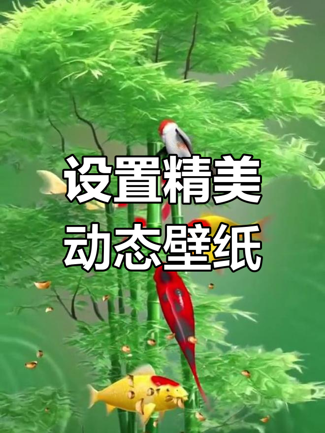 免费动态壁纸,让手机更美观