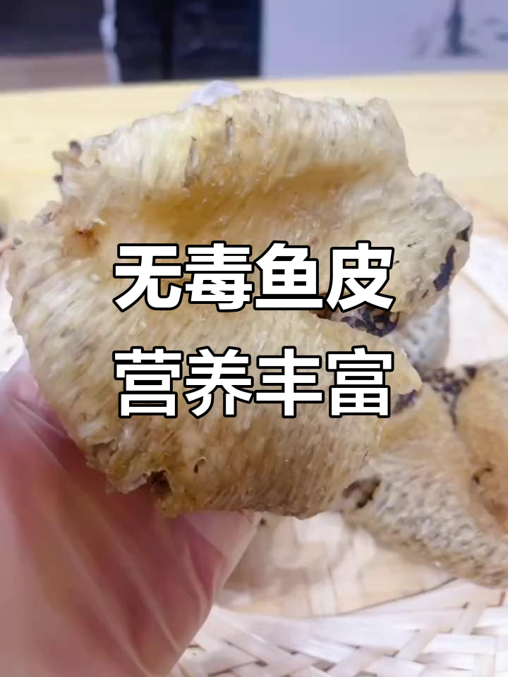 刺龟皮：无毒养胃，炖汤煮肉都超赞