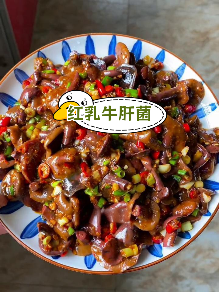 口感爽滑的红乳牛肝菌,炒煮凉拌皆宜