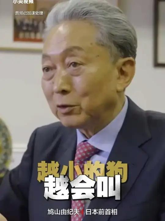 日本前首相鸠山由纪夫谈高市早苗：“越小的狗越会叫，叫得越响，越容易给人一种强大的印象，而对