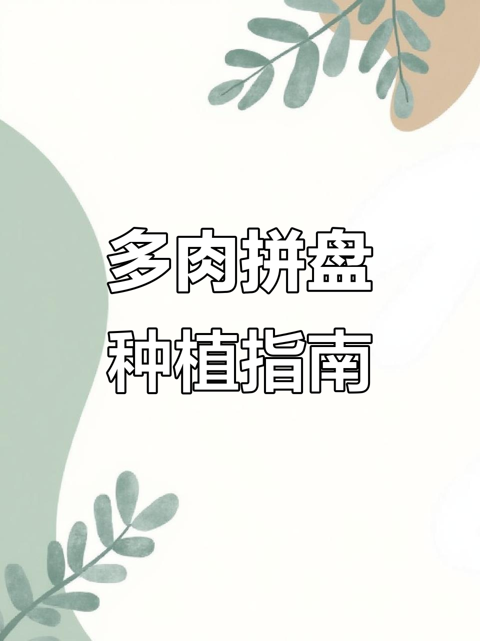 如何制作多肉拼盘莲花,控释肥使用技巧揭秘