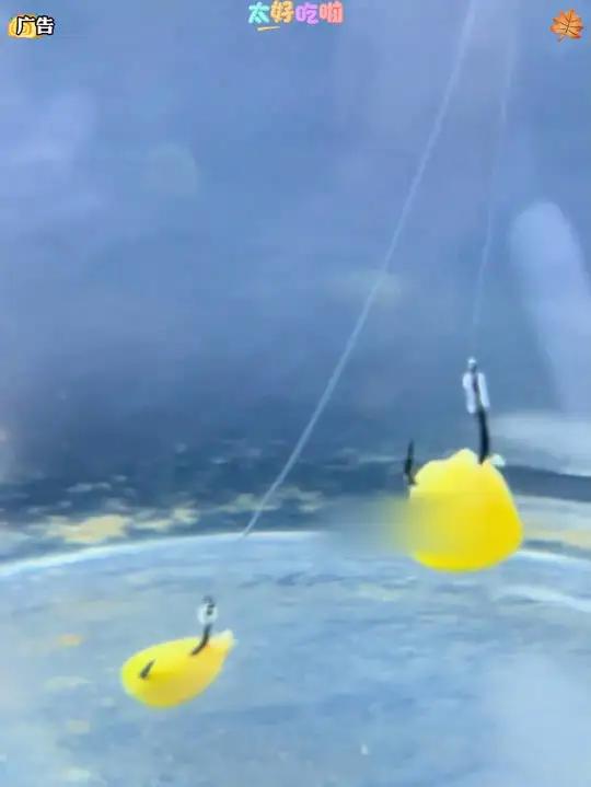 威拓森玩趣免调漂线组鱼钩套装成品鱼线主线全套钓鱼鲫鱼钓组台钓