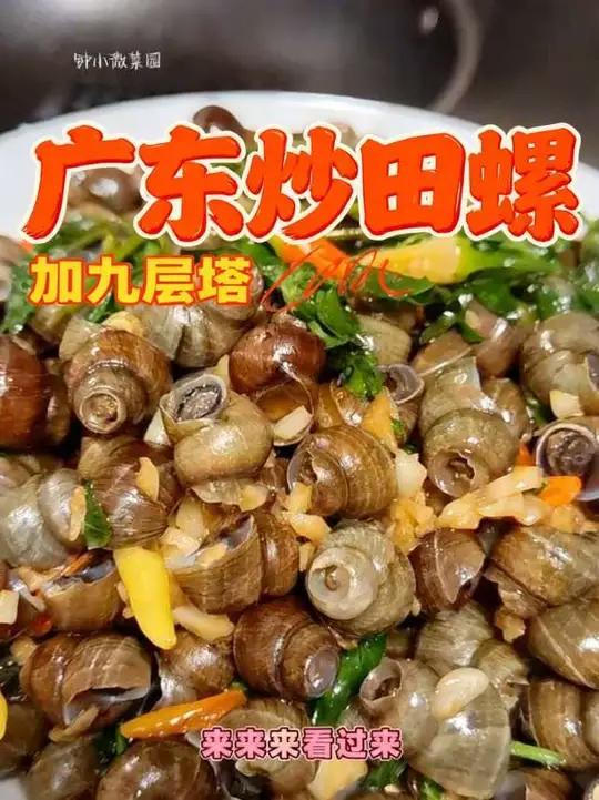 金不换炒田螺,这一口香只有广东人才知道#家常小炒 #炒田螺 #金不换 #九层塔