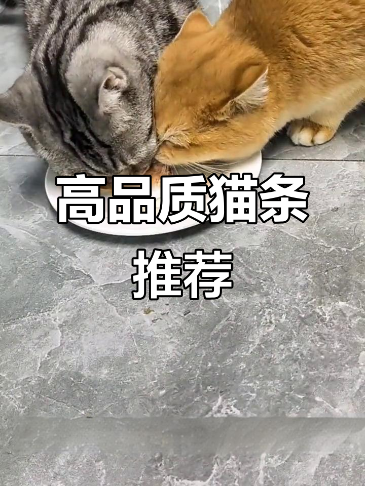 猫咪最爱的高营养猫条,三种口味任选!