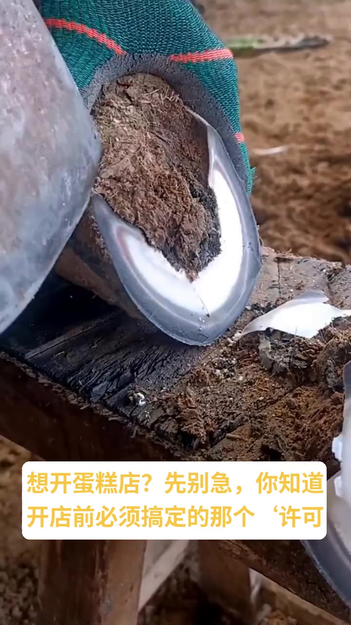 开蛋糕店需要办理食品经营许可证吗