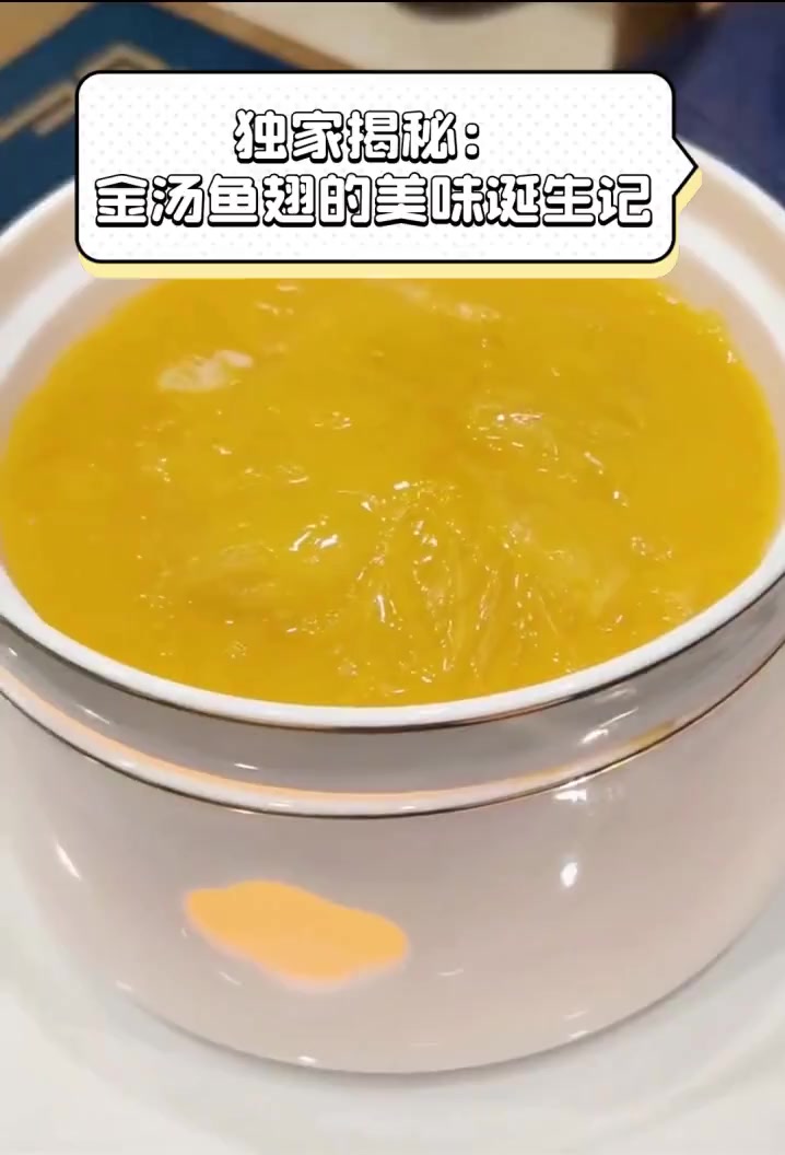 独家揭秘:金汤鱼翅的美味诞生记