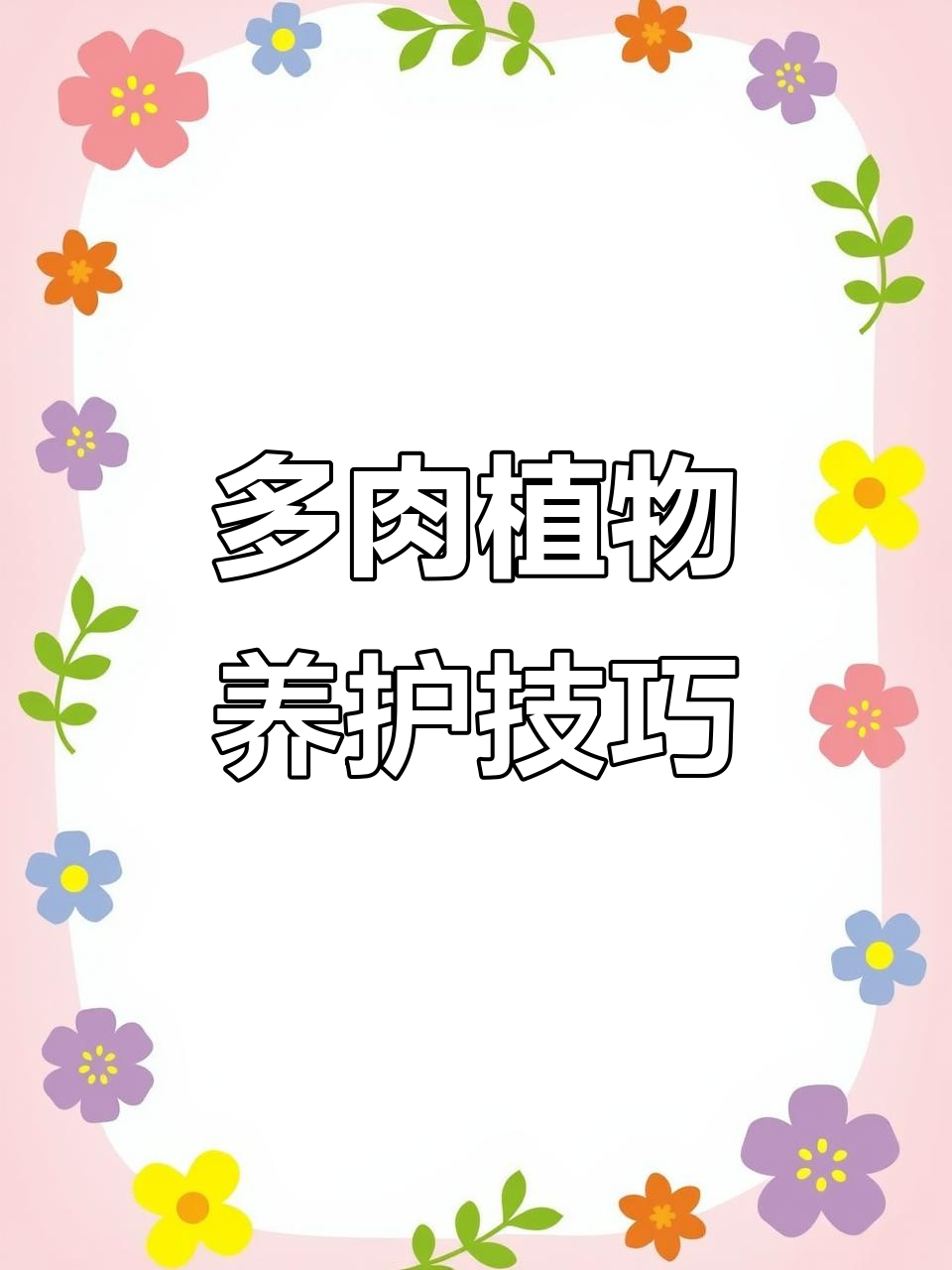 美丽多肉植物，橙梦露与法师缀化惊艳登场