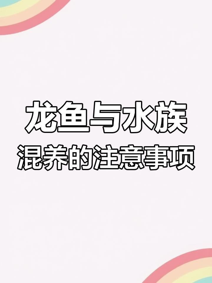 龙鱼混养大揭秘:哪些观赏鱼能与之共存,哪些不行