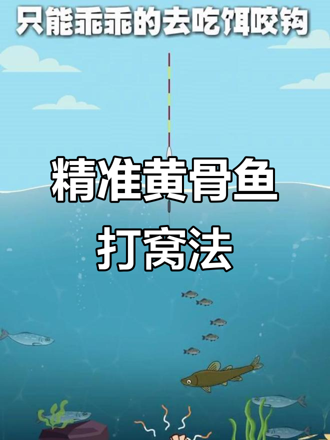 黄鲴鱼打窝技巧大揭秘,诱饵设置全攻略