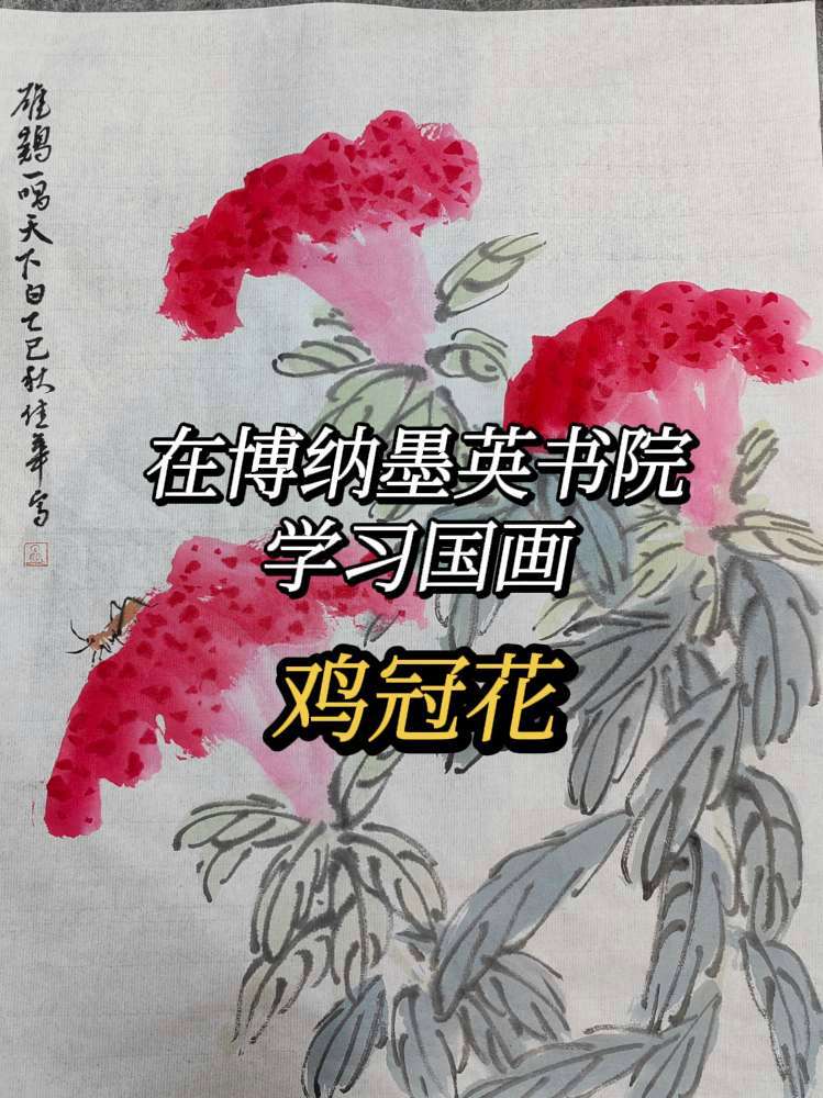 大写意《鸡冠花》国画 写意 书画 线下教学 成都