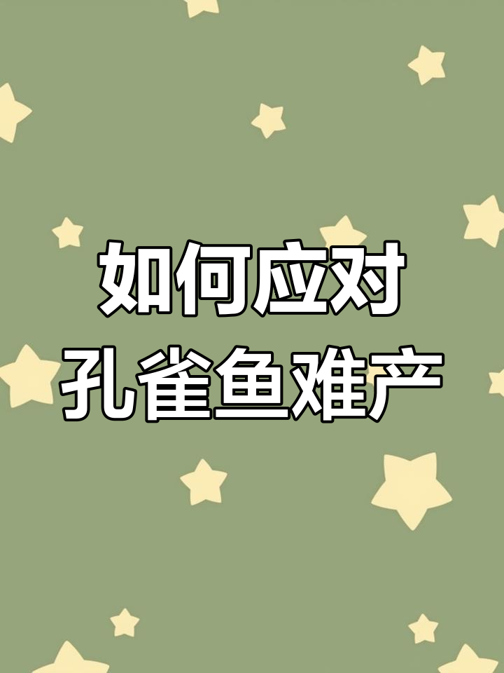 孔雀鱼难产怎么办?这些方法能刺激生产