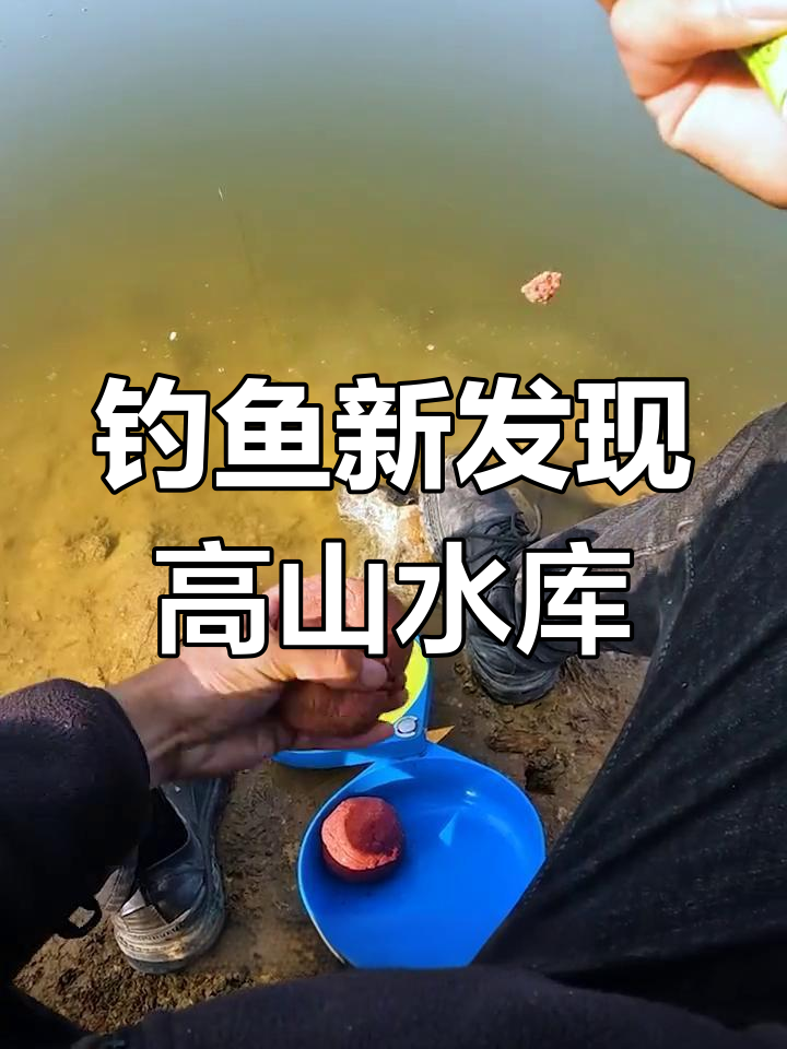 高山水库探钓花骨鱼,稀有冷水鱼的秘密