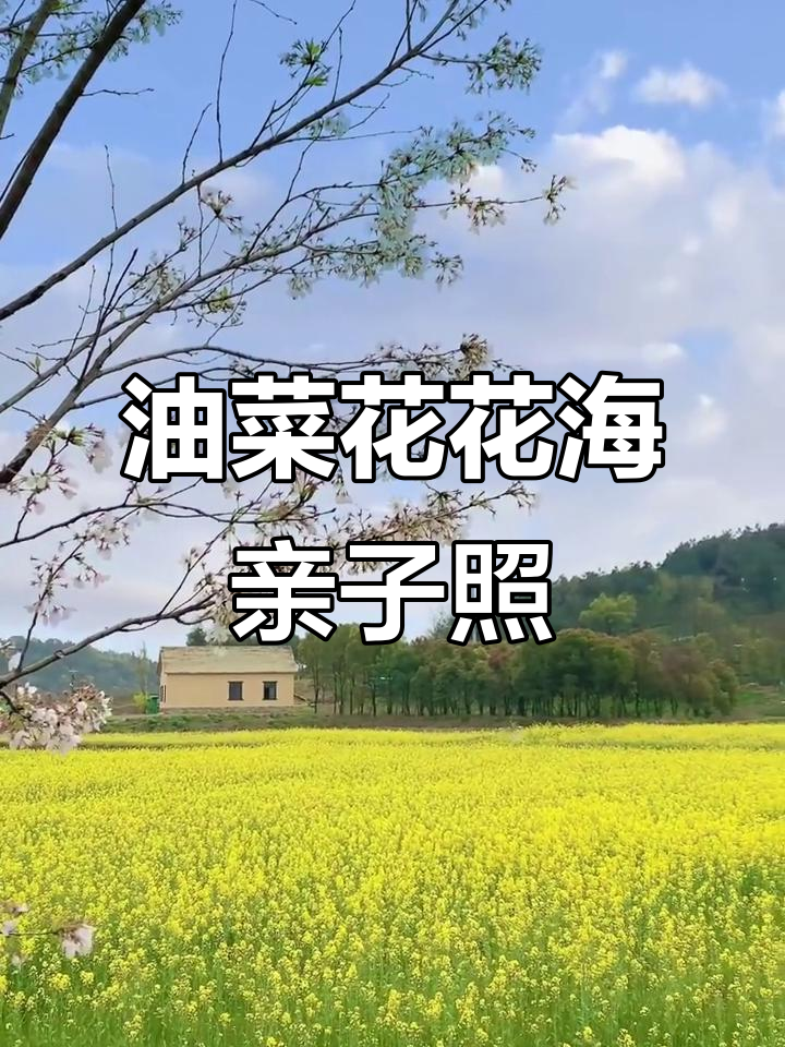 武汉油菜花海中的治愈系儿童写真,带你闯入宫崎骏的奇妙世界