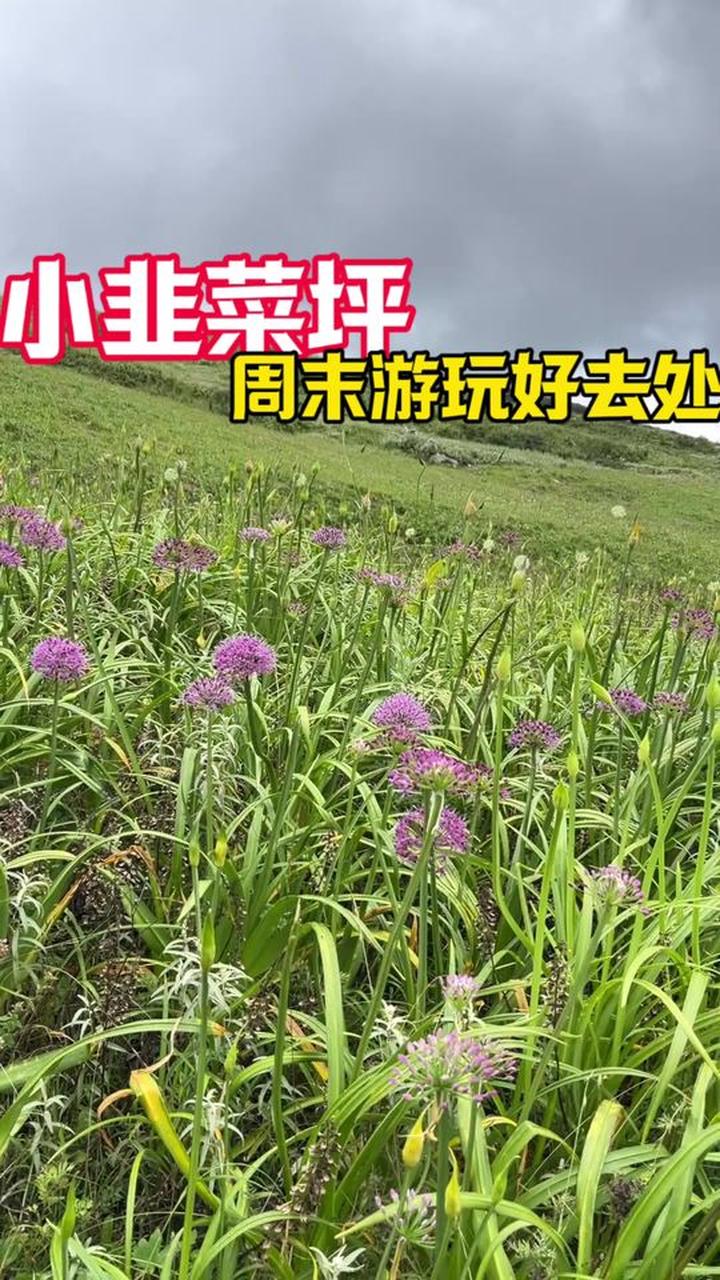 周末去小韭菜坪徒步拍照是个不错的选择