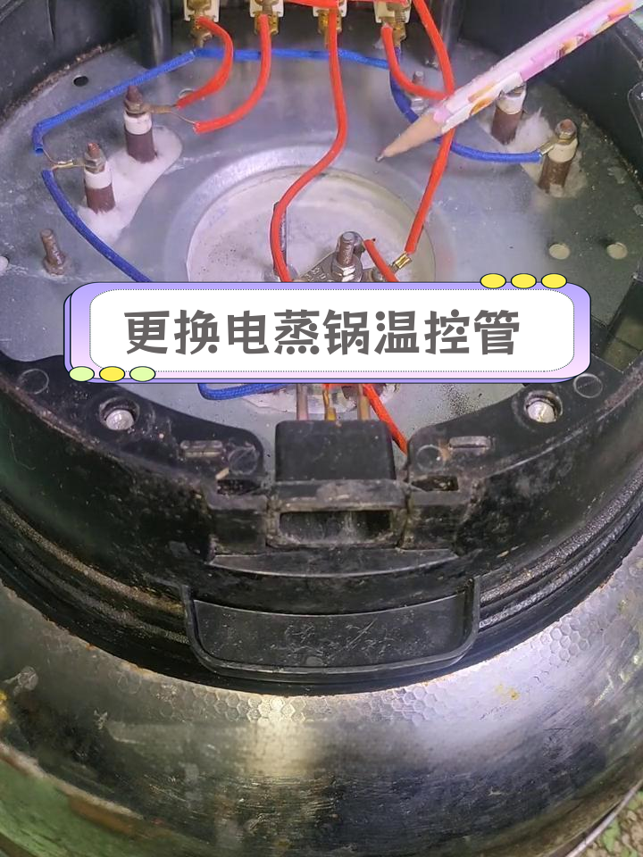 电蒸锅温控管故障修复