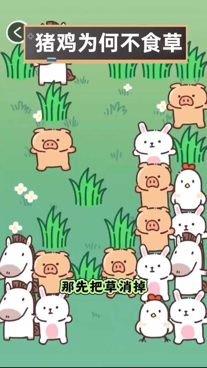 猪鸡为何不食草