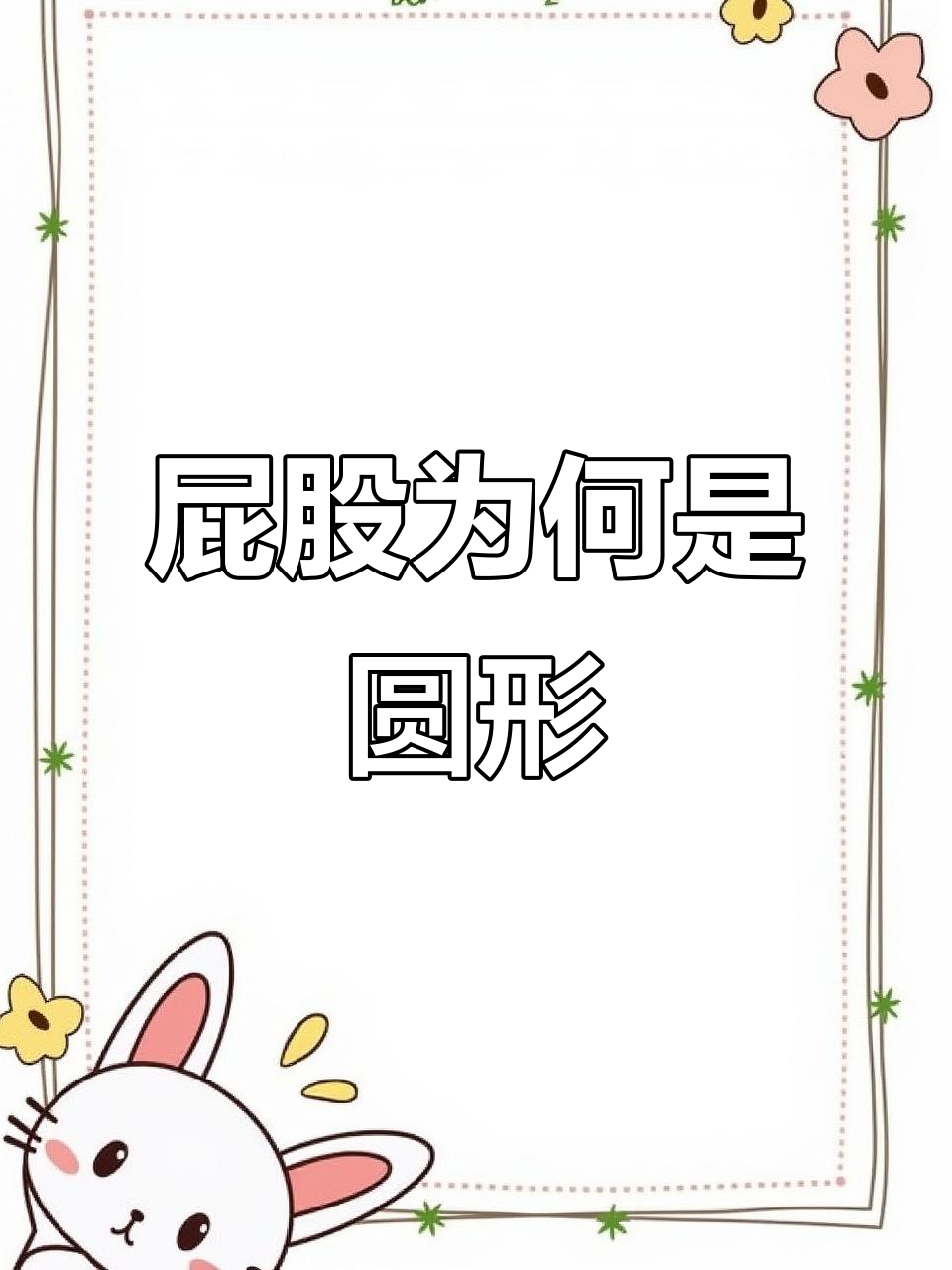 为什么屁股是圆的？揭秘背后的骨骼、肌肉与脂肪分布