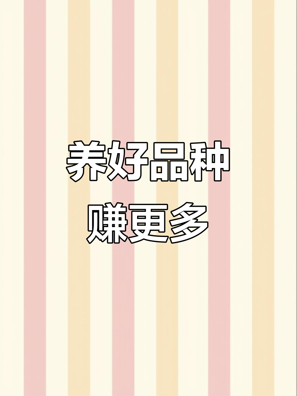 选对品种,养鸡事半功倍!882大红公鸡苗助力养殖效益翻倍