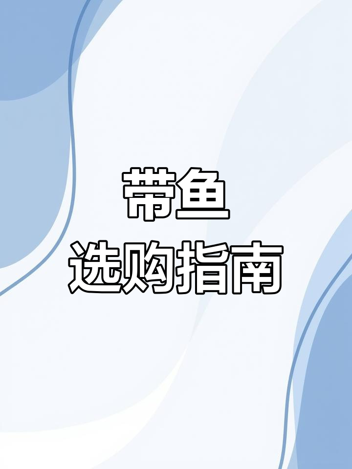 买带鱼时,黄眼与黑眼的区别大揭秘