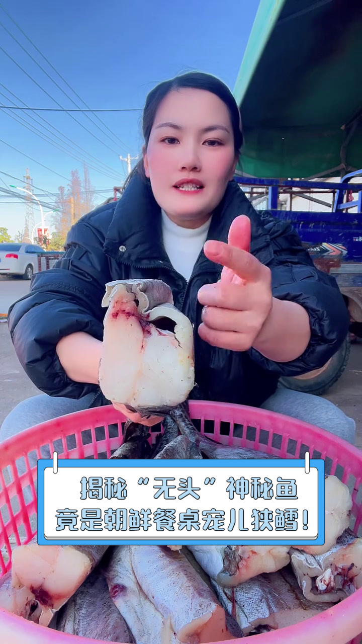 揭秘“无头”神秘鱼,竟是朝鲜餐桌宠儿狭鳕!