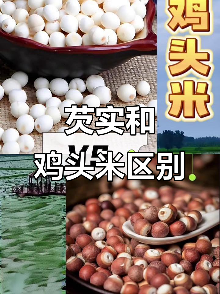 芡实与鸡头米的傻傻分不清，原来它们是“亲戚”！