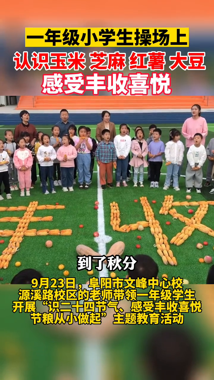一年级小学生操场上认识玉米、芝麻、红薯、大豆等!感受丰收喜悦