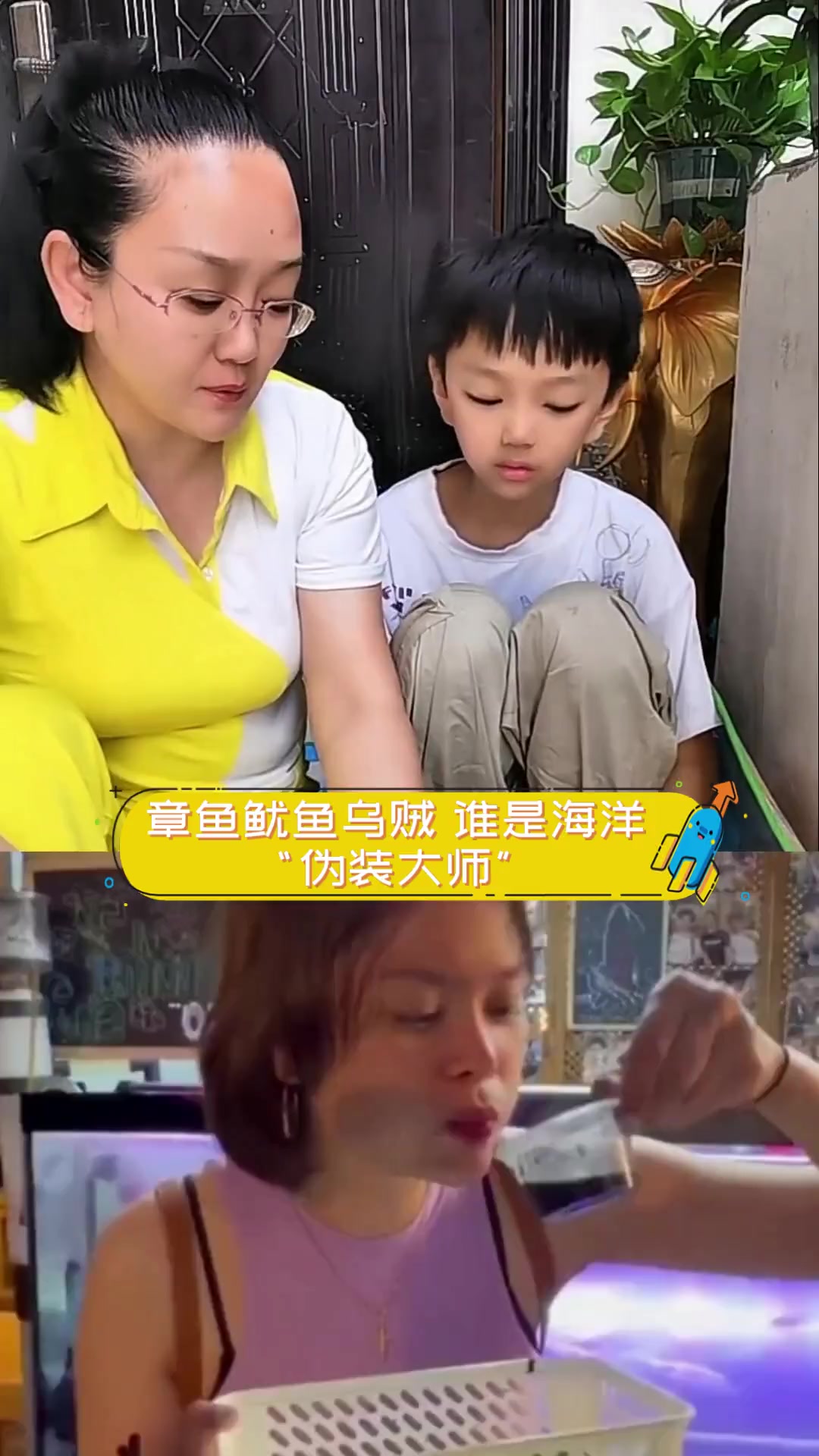 章鱼鱿鱼乌贼,谁是海洋“伪装大师”